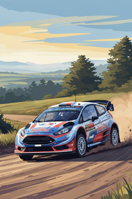 Ford Fiesta rally avtomobil
