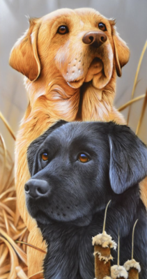 Dva labradorca