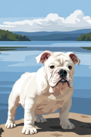 Portret angleškega buldoga – 25-878