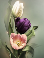 Tri tulipana