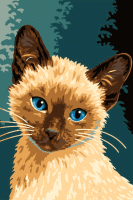 Portret mačke: Mirci