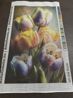 Tulipani – AR-358